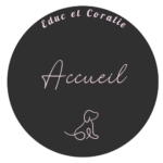 logo accueil