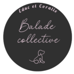 logo balade colective