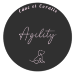 logo agility