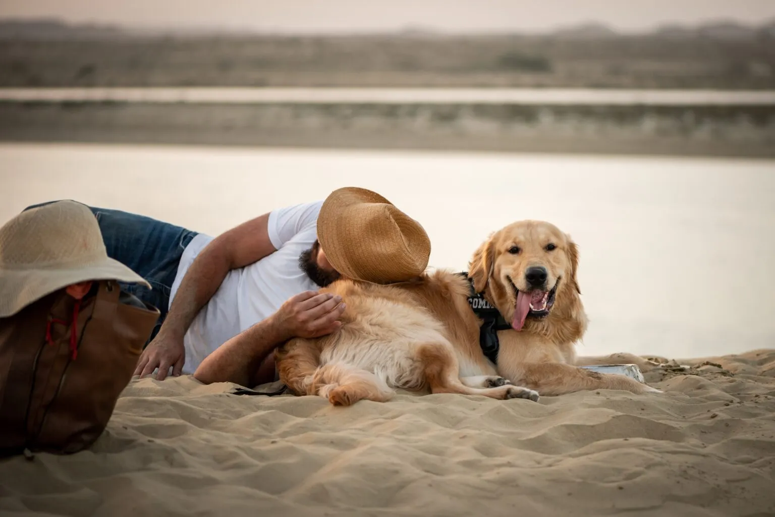 une femme est allongée sur la plage, la tête sur son golden retriever