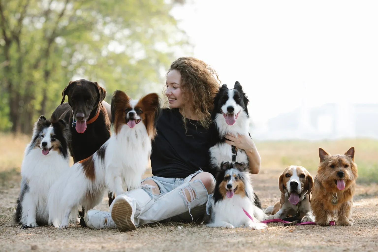 une jeune femme assise par terre entourée de 6 chiens