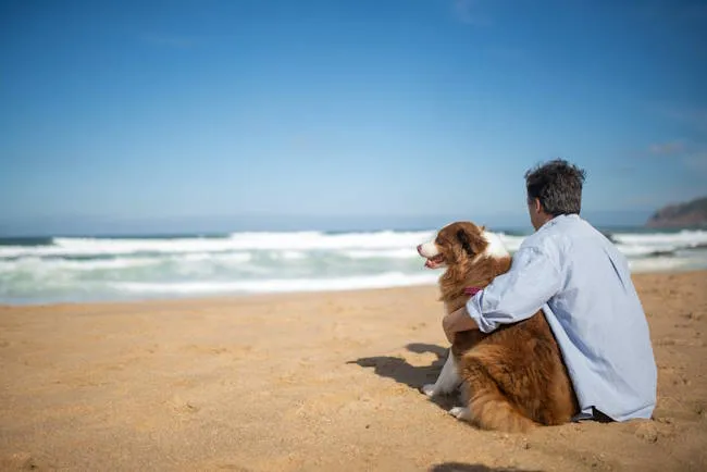 un homme et son chien assis de dos sur la plage