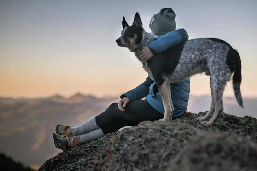 un homme assis au sommet d'une montagne enlace son chien debout à côté de lui