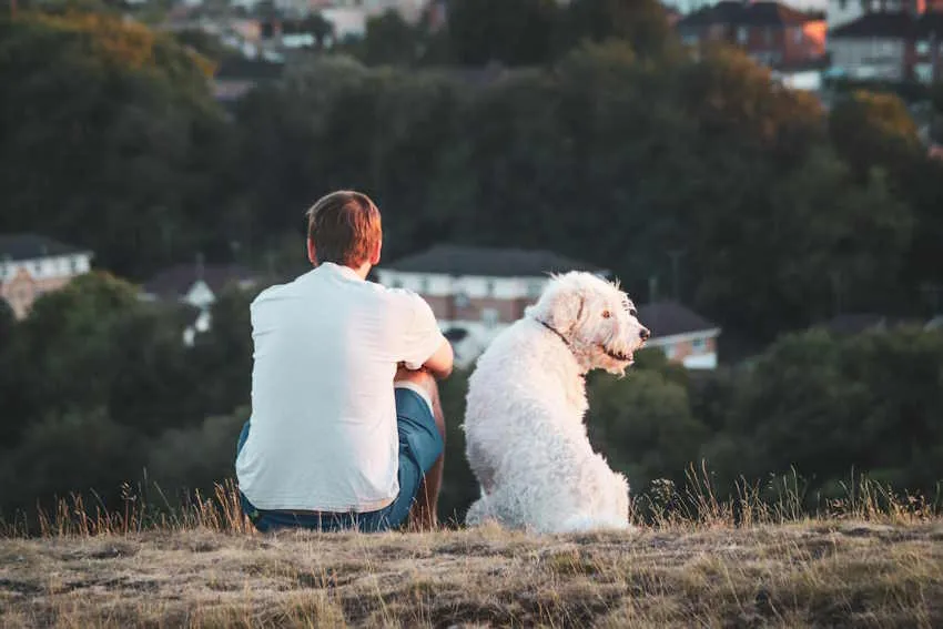 UN HOMME ASSIS DE DOS et son chien blanc