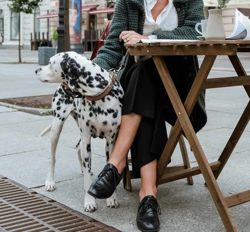 une dame installée à une terrasse de café avec un dalmatien sage à ses côtés