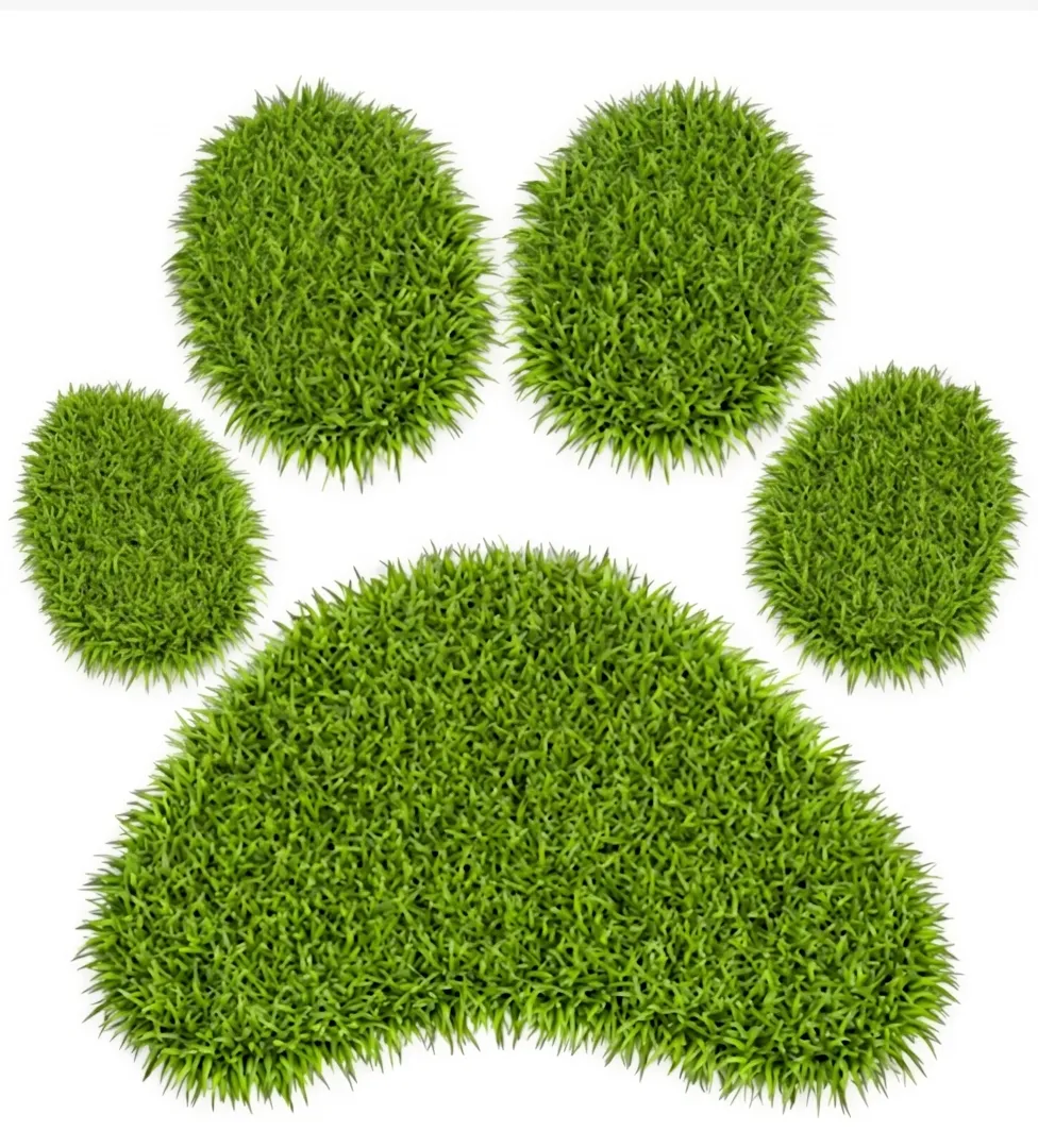 une empreinte de chien en herbe verte sur fond blanc